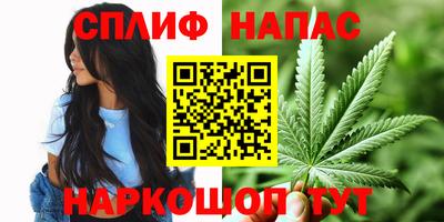 PSILOCYBIN Бугуруслан